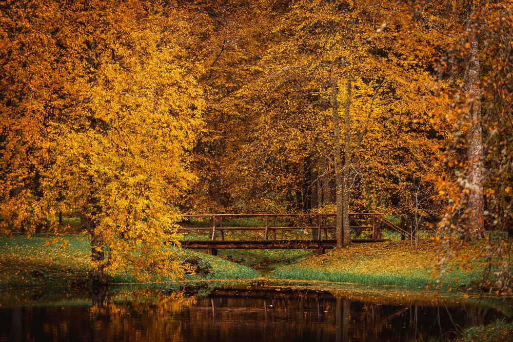 Photograph by Антон Малыгин