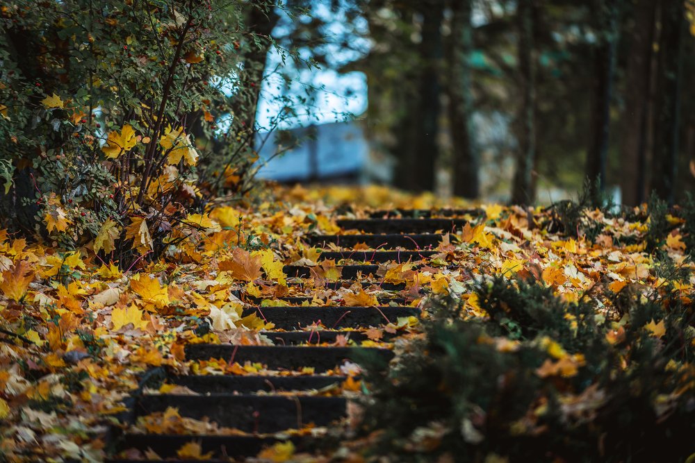 Photograph by Антон Малыгин