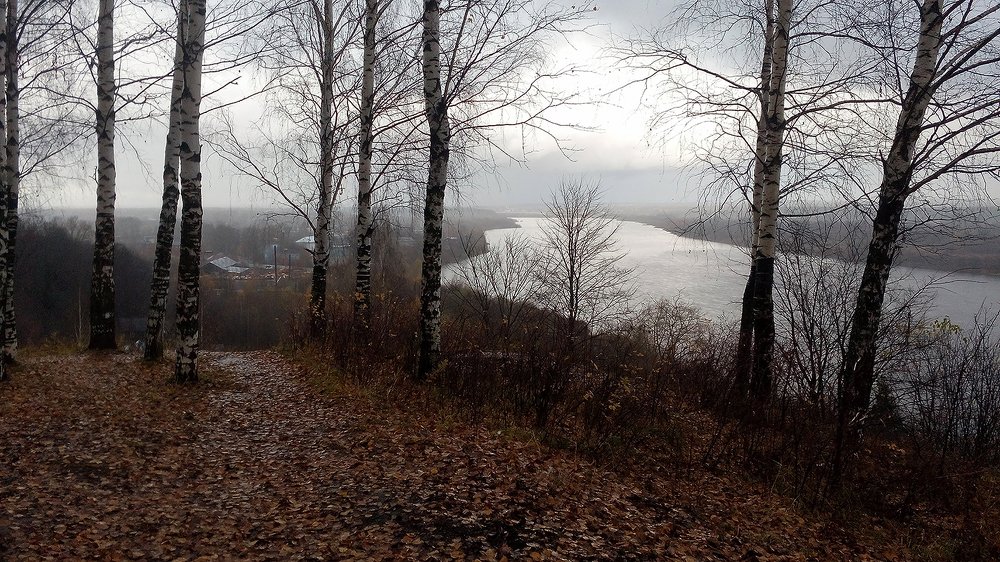 Photograph by Надежда Колеватова