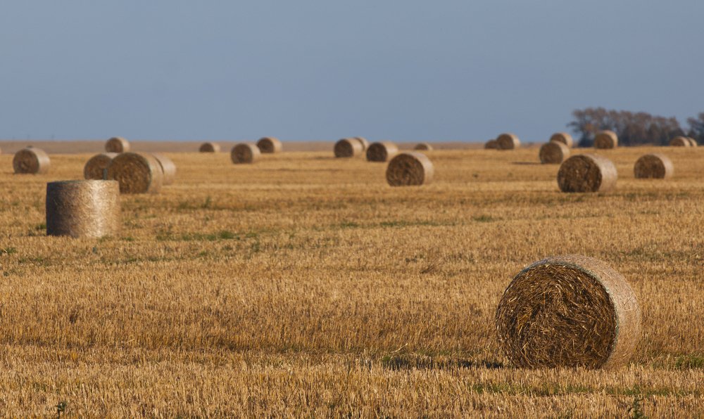 Photograph by Андрей Плеханов