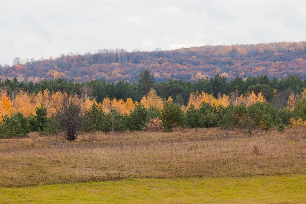 Photograph by Андрей Плеханов