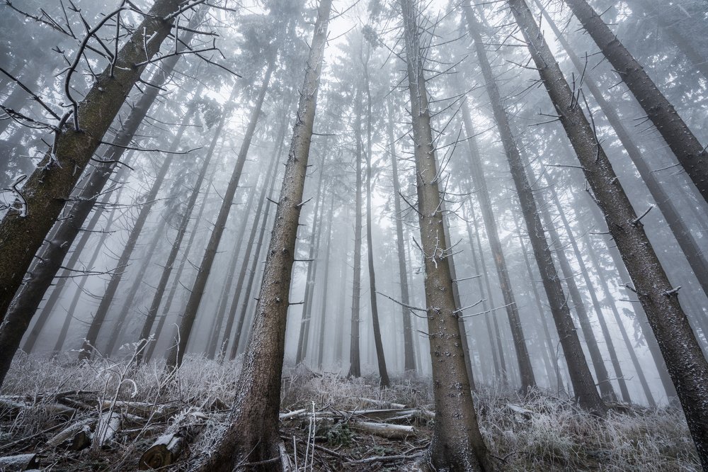 Photograph by Martin Novak