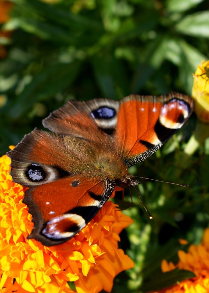 Photograph by Светлана Титова