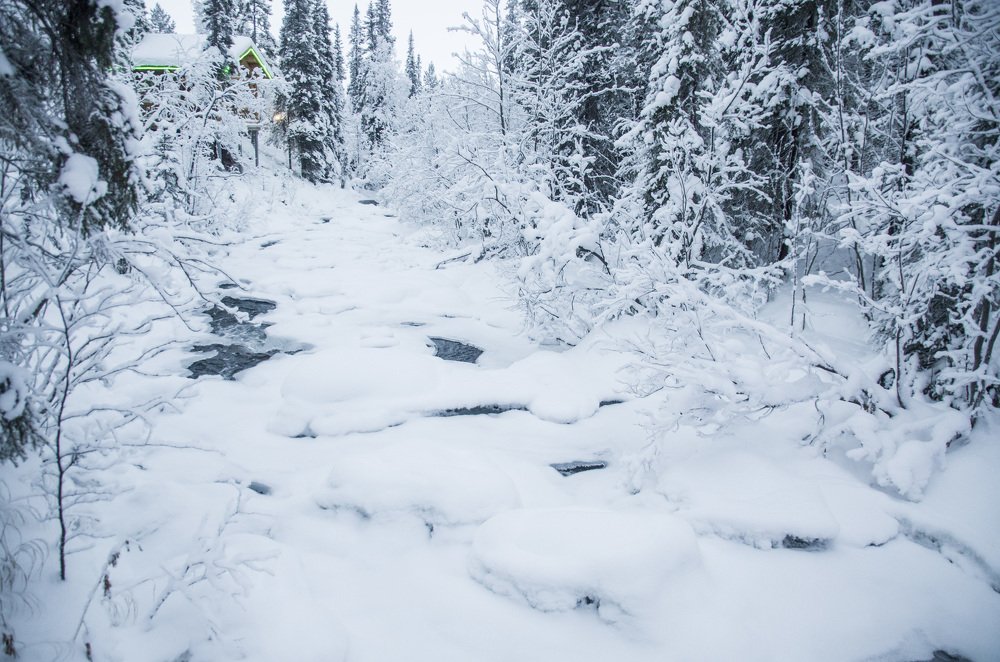 Photograph by Ирина Алексеевна Дудаль-Вологодская