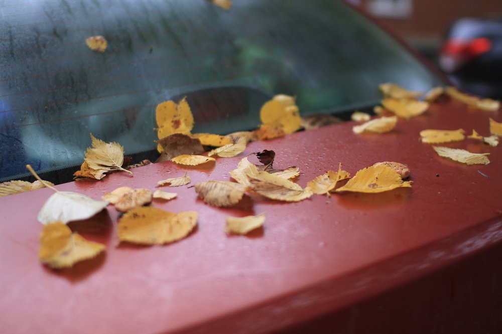 Photograph by Александра Вотякова