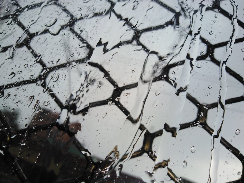 Photo #3730513