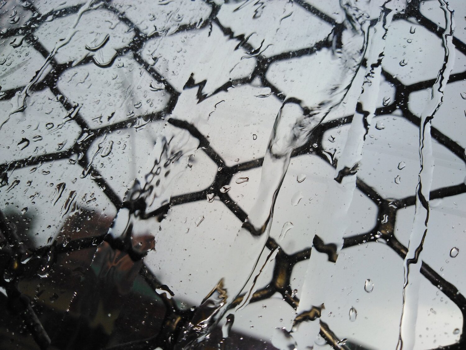 Photo #3730513