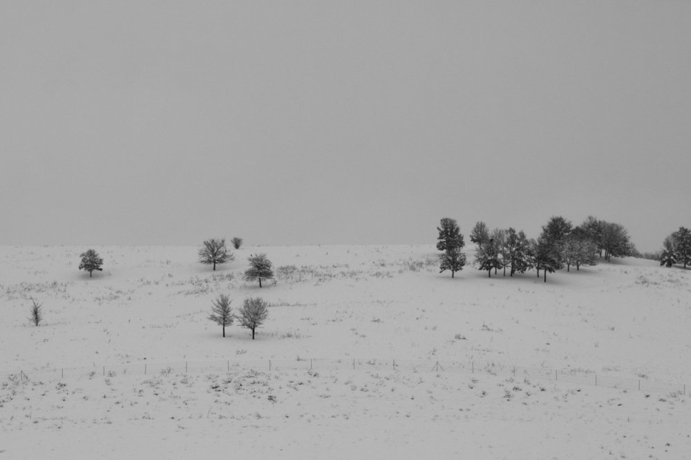 Photograph by Muntean Radu