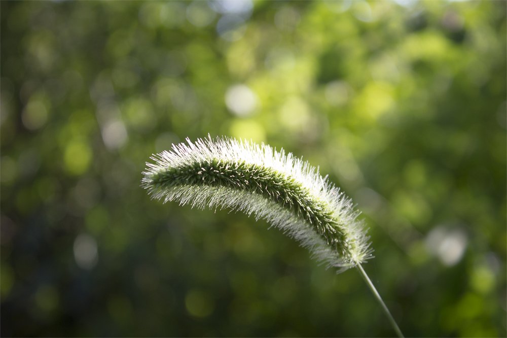 Photograph by Татьяна Атисс