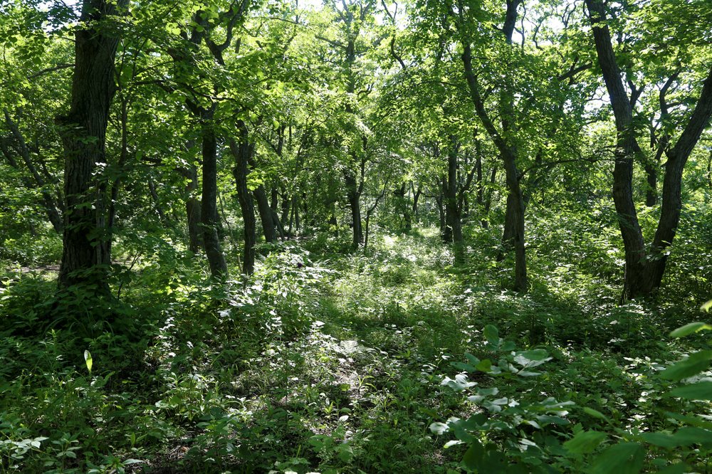 Photograph by Татьяна Атисс