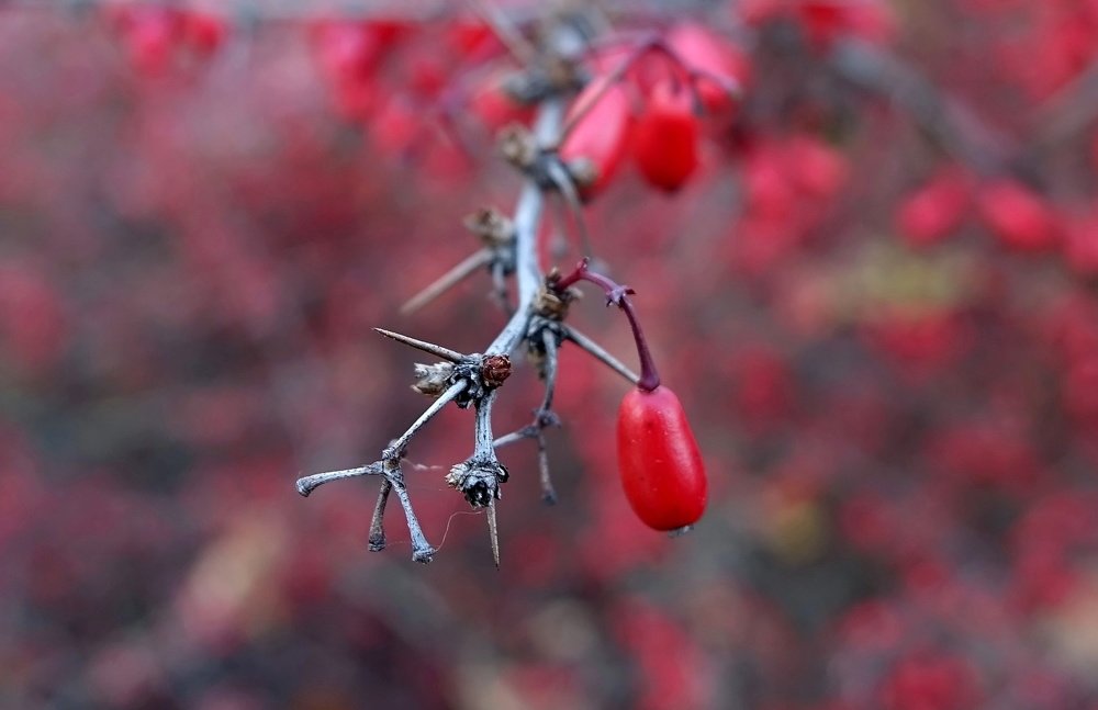 Фотография автора Валентина Гундарева