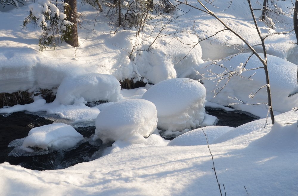 Photograph by Ирина Алексеевна Дудаль-Вологодская