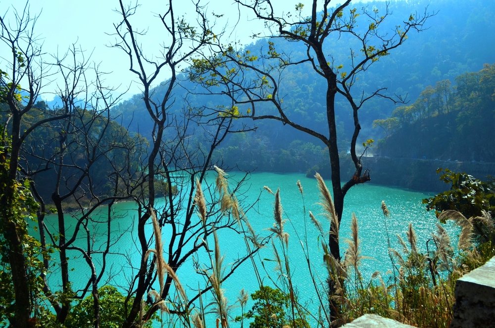 Photograph by Kaushik Roychowdhury