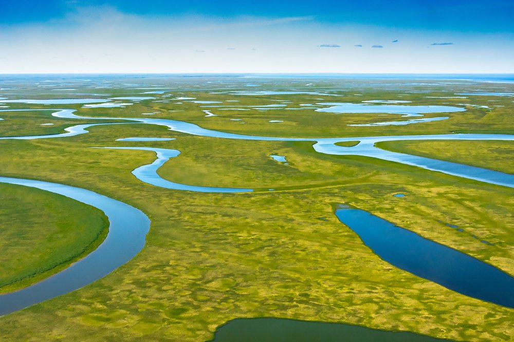 Photograph by Ендовицкий Владимир