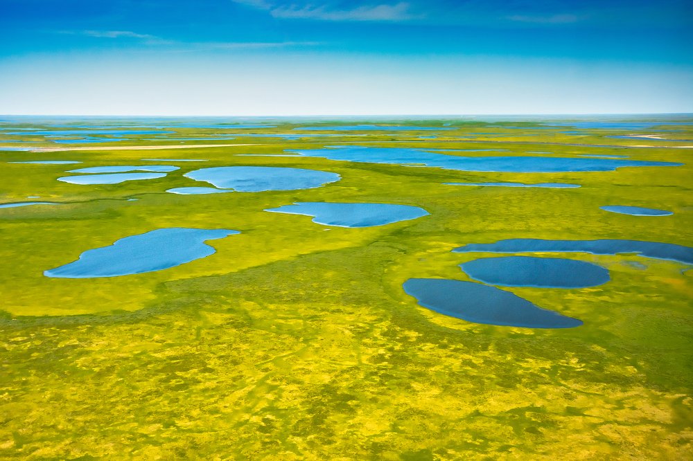 Фотография автора Ендовицкий Владимир