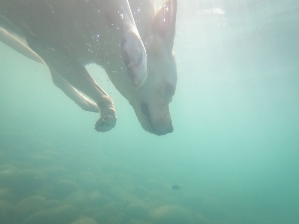 Photograph by Алексей Яковлев