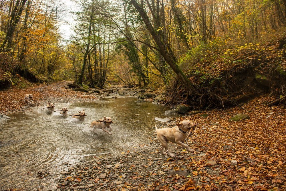 Photograph by Алексей Яковлев