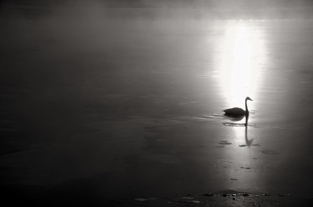 Серебряный след