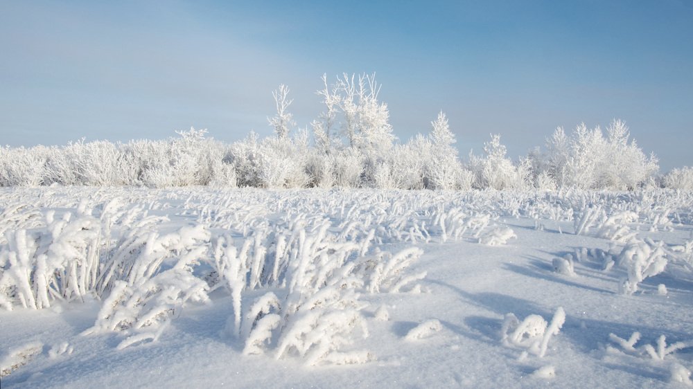 Зимний пейзаж