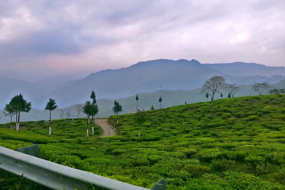 Photograph by Deepanjan Bhattacharya