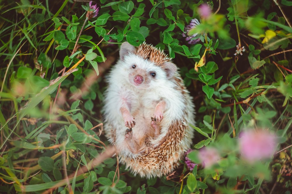 Photograph by Анна Авдеева