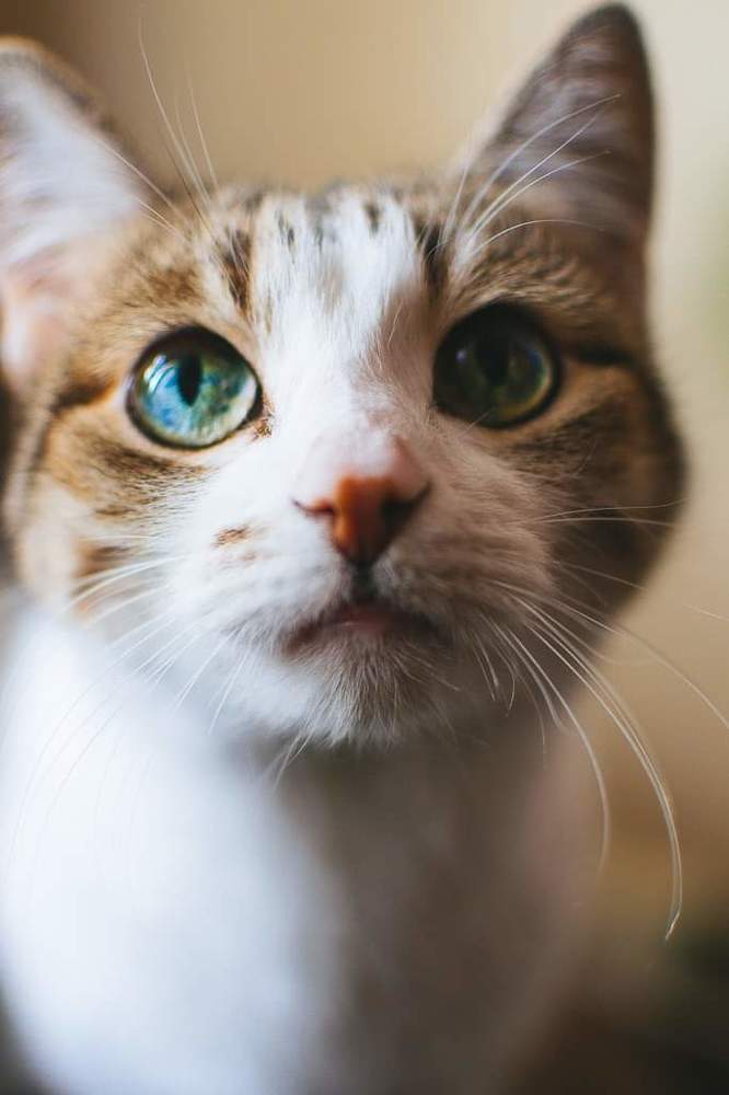 Photograph by Светлана Ветрова