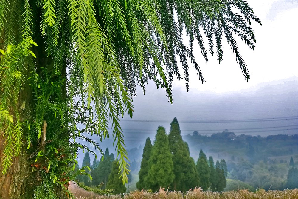 Photograph by Deepanjan Bhattacharya