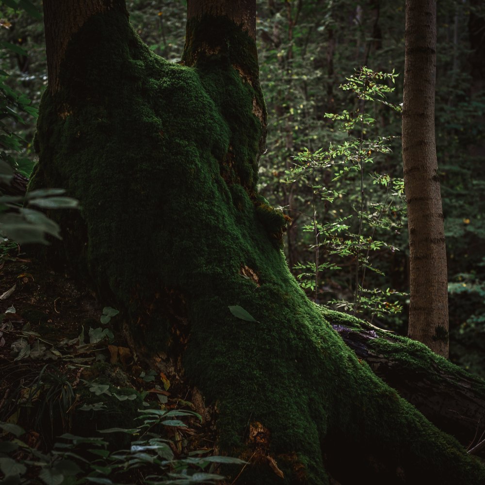 Photograph by Антон Малыгин