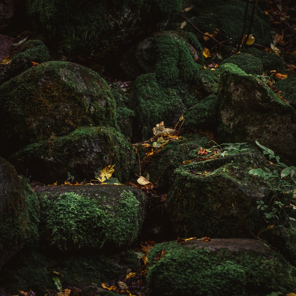 Photograph by Антон Малыгин