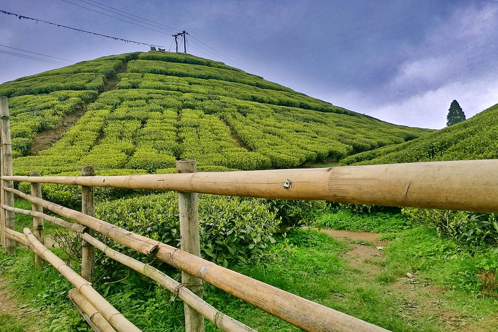 Photograph by Deepanjan Bhattacharya