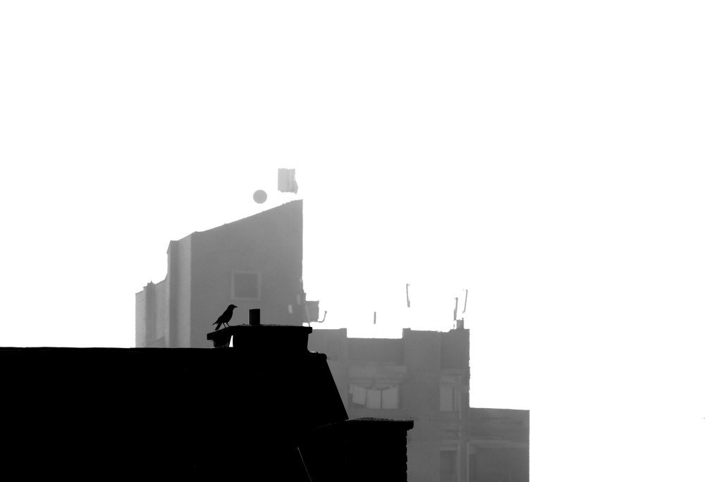 Photograph by Suncica Andrejevic