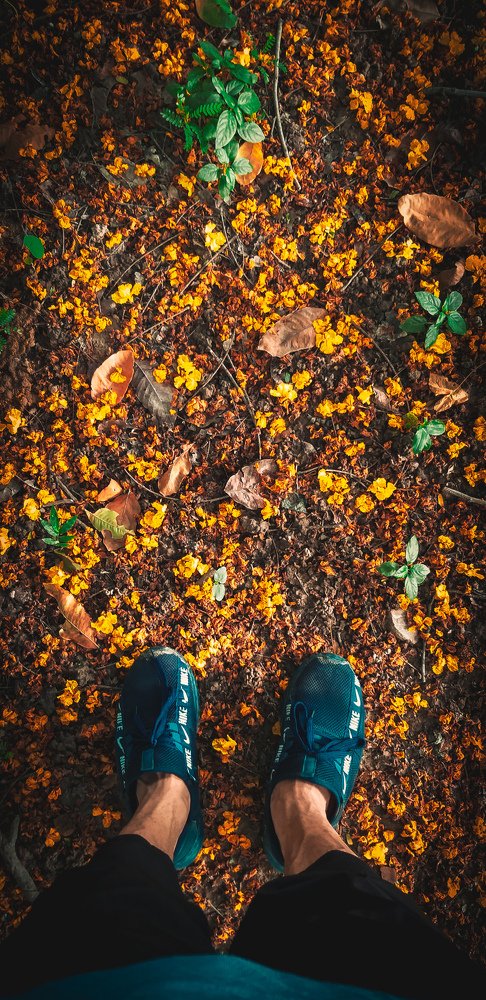 Photograph by Saimon Jackson