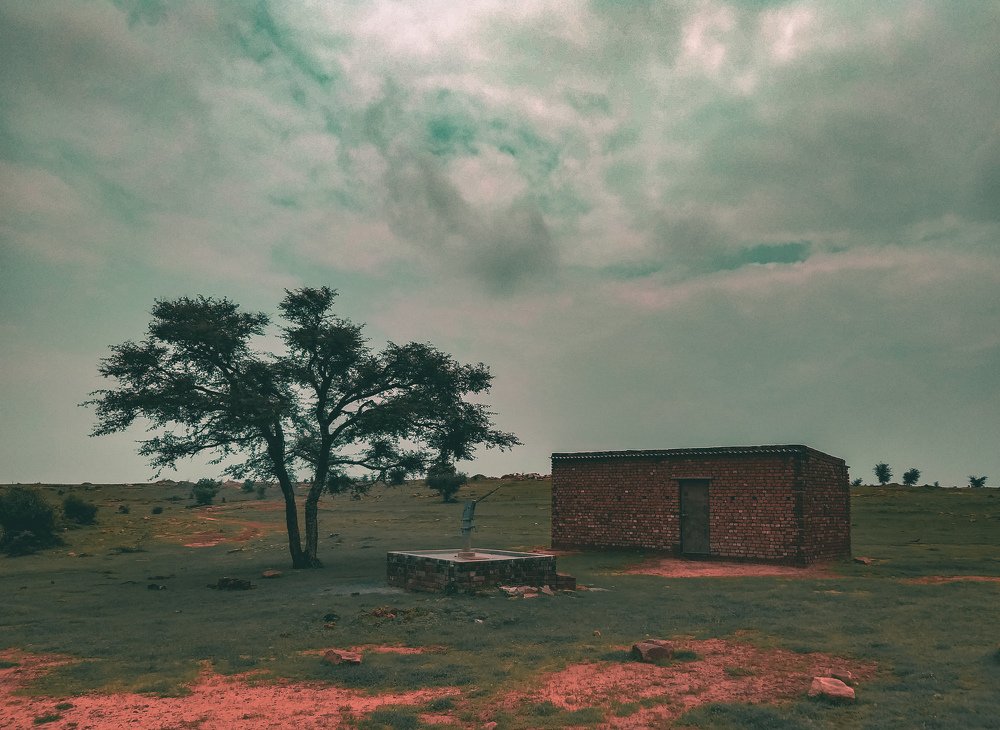 Photograph by Saimon Jackson