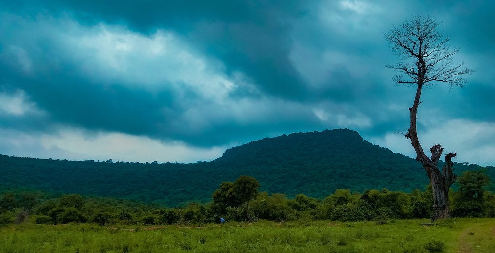 Photograph by Saimon Jackson