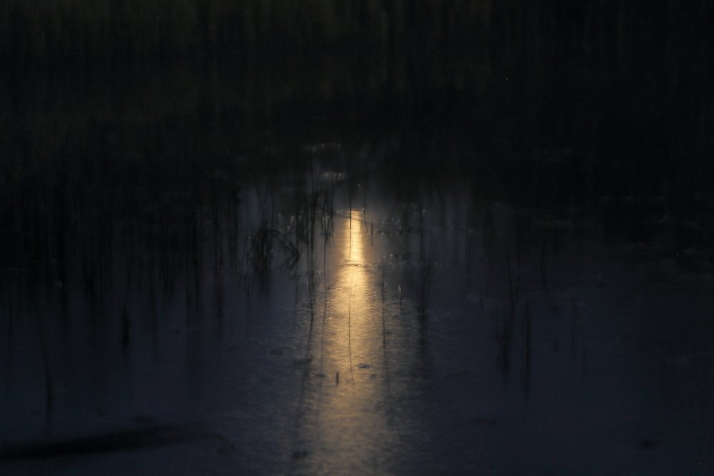 Photograph by Michael Sumerin