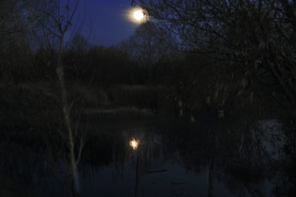 Photograph by Michael Sumerin