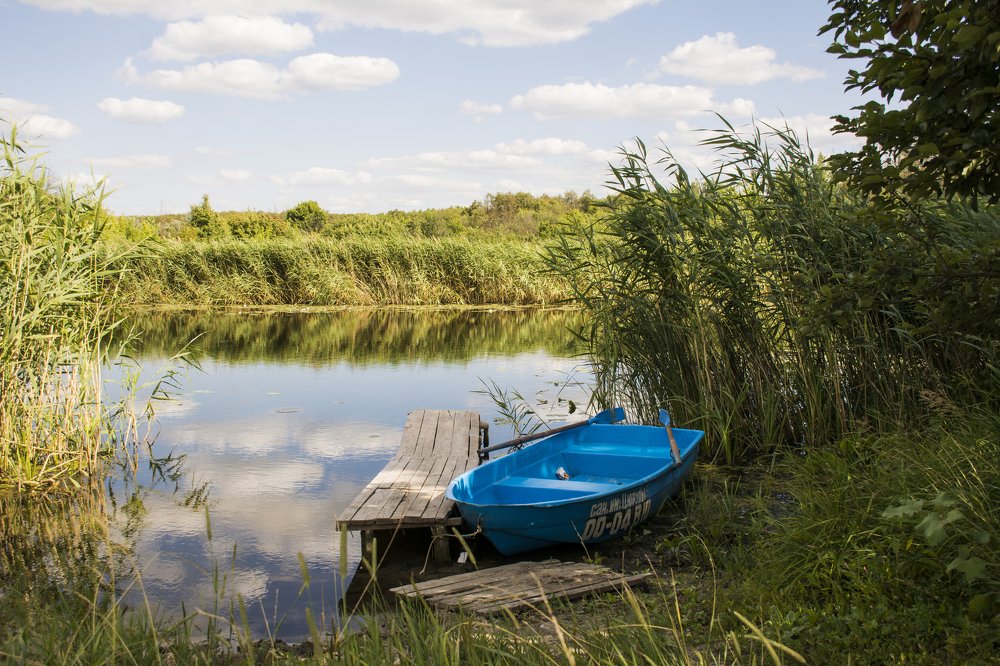 Photograph by Galina