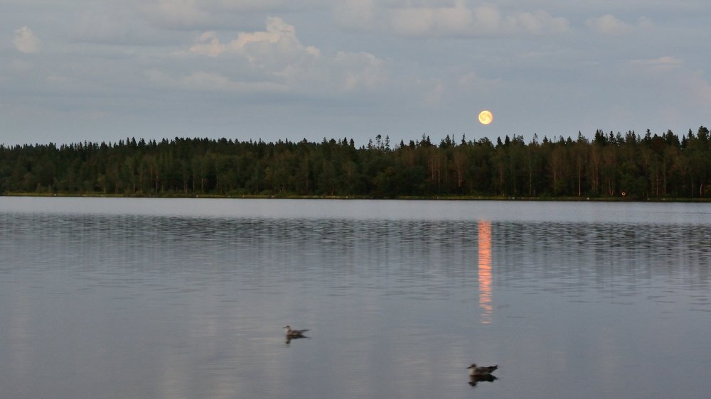 Вечер на Соловецких островах