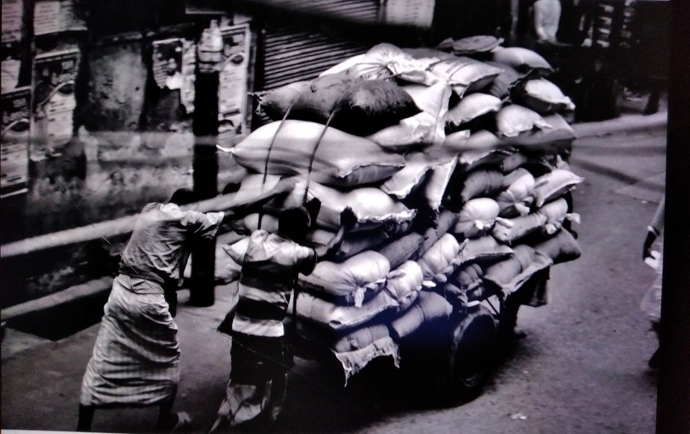 Photograph by  MD RIZWANULLAH SHUVO