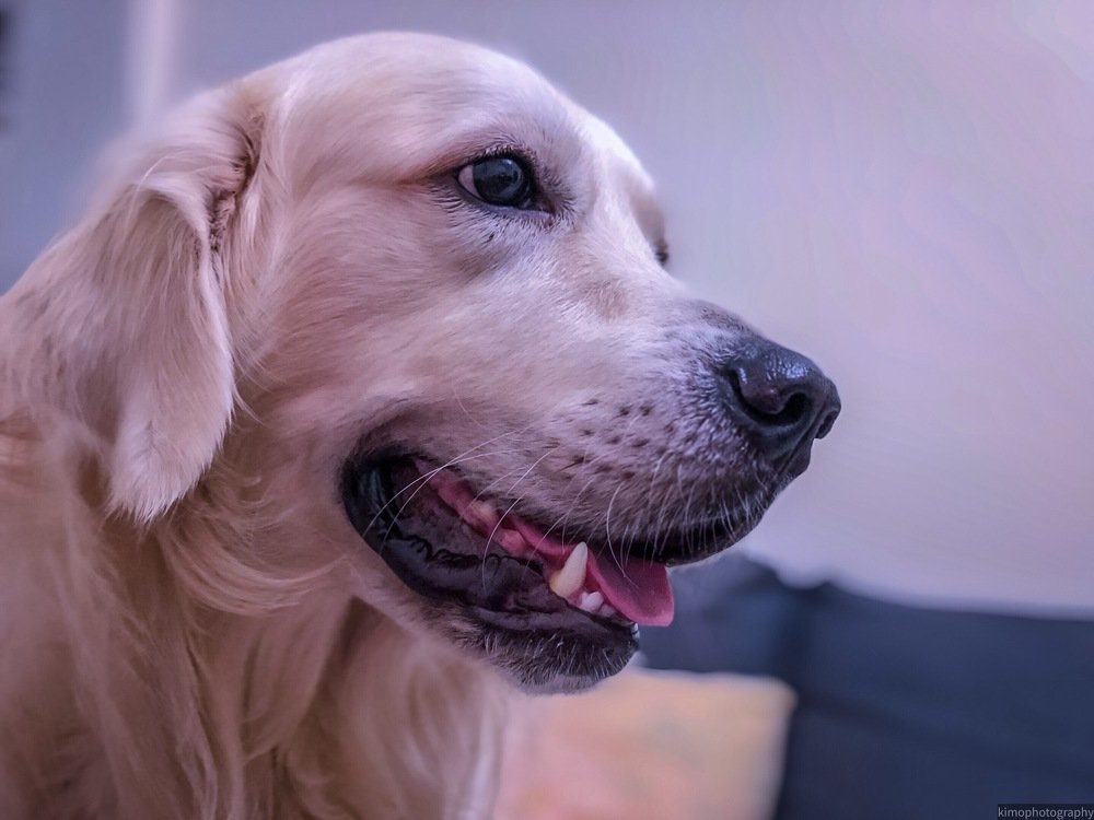 Photograph by Ahmed Kamal