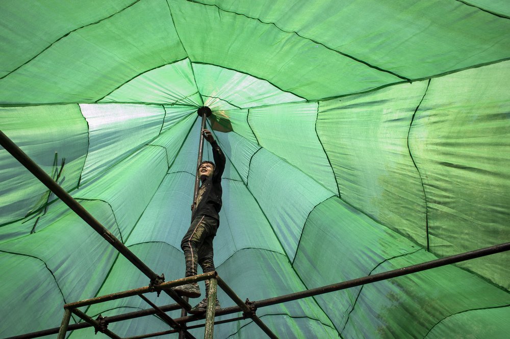 Photograph by shabnam maleki