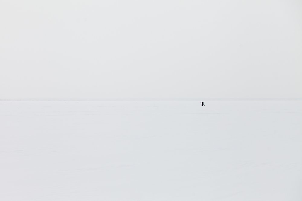 Photograph by Александр Нифанин