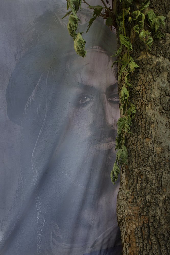 Photograph by shabnam maleki