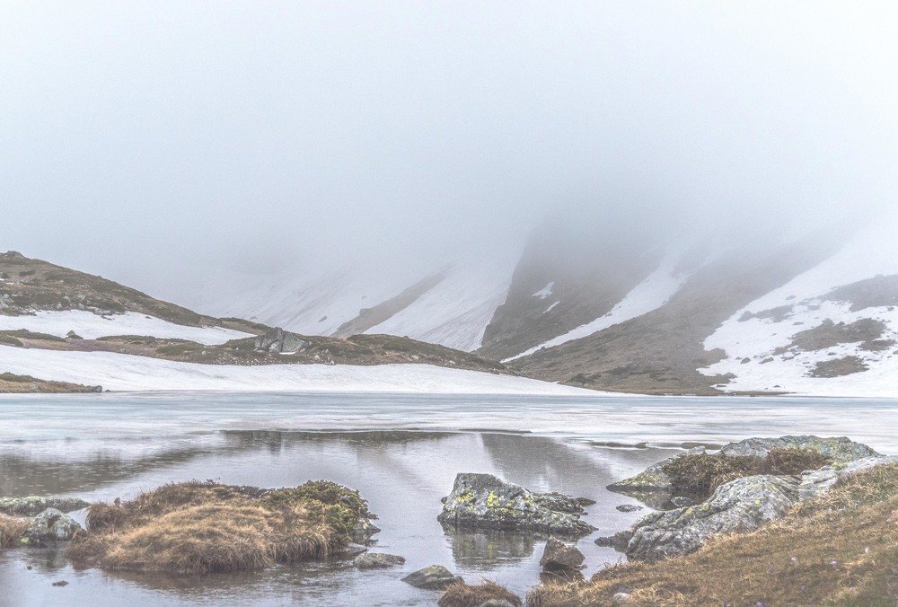 Photograph by Venelin Dimitrov