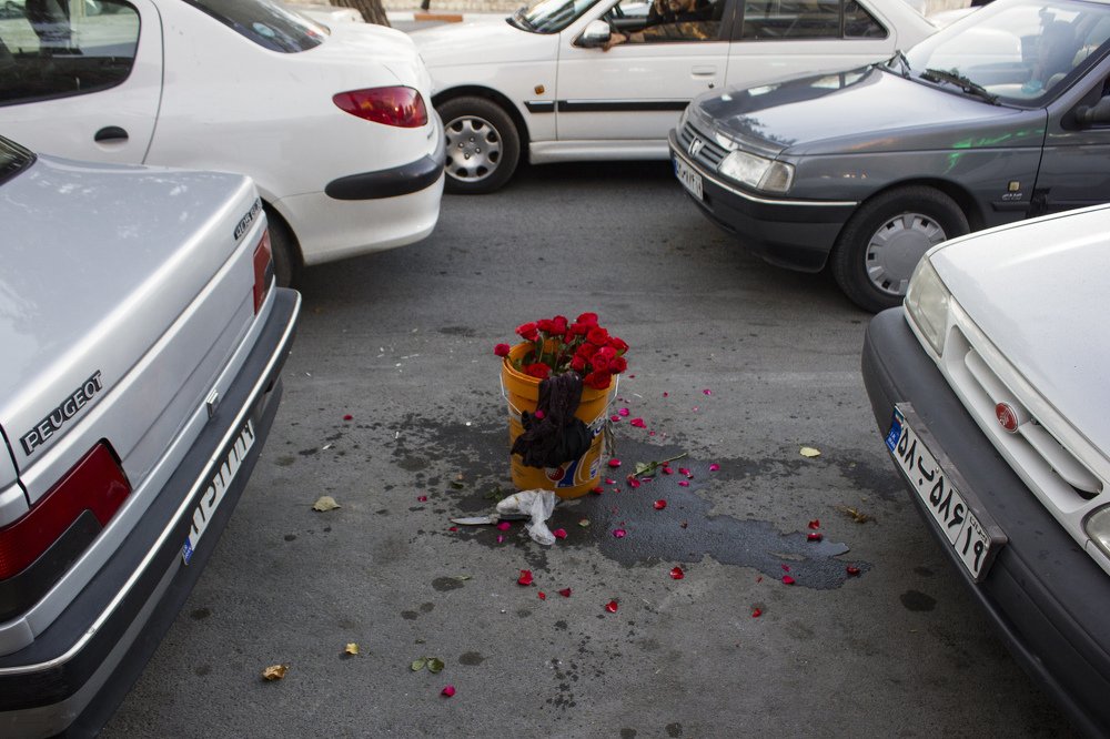 Photograph by shabnam maleki