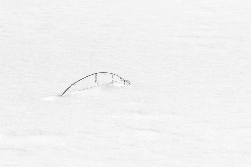 Photograph by Александр Комаров