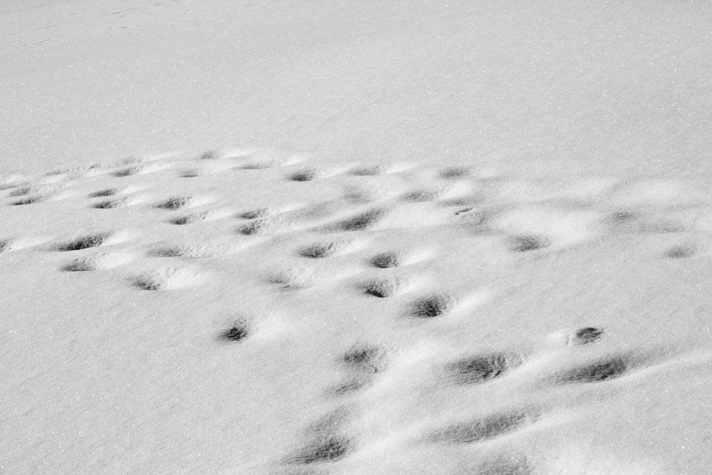 Photograph by Александр Комаров