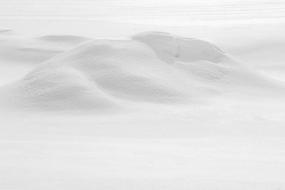 Photograph by Александр Комаров