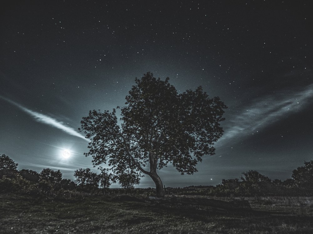 Photograph by Ришат Галимов