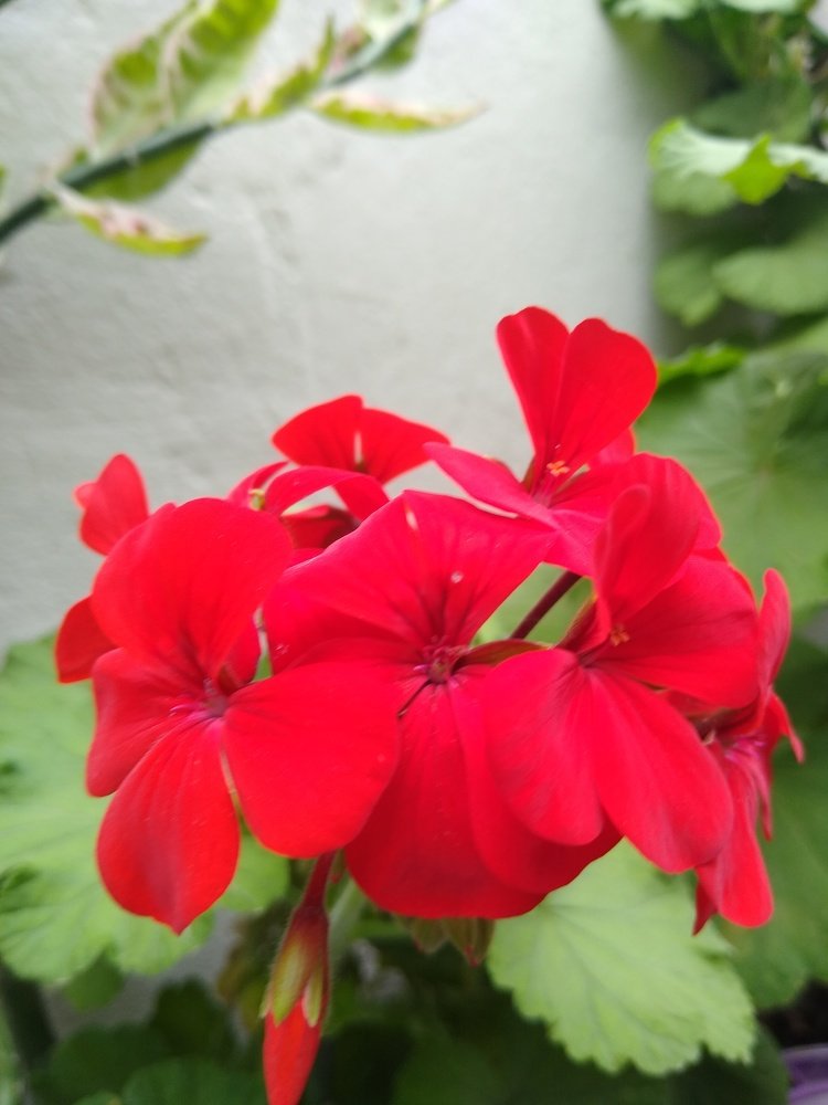 Photograph by Sandra Verónica Bertorello